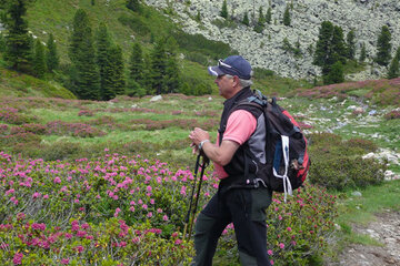 Wanderungen mit Franz Wanderungen mit Franz